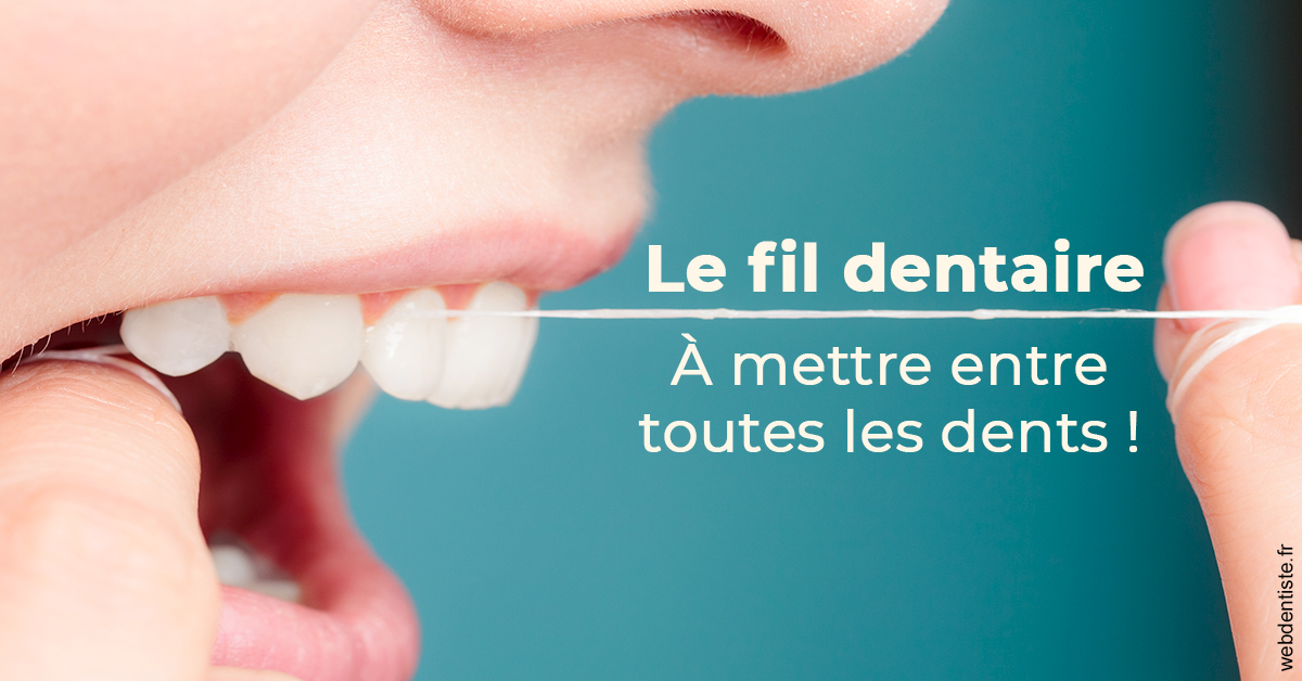 https://dr-arnaud-lecauchois.chirurgiens-dentistes.fr/Le fil dentaire 2