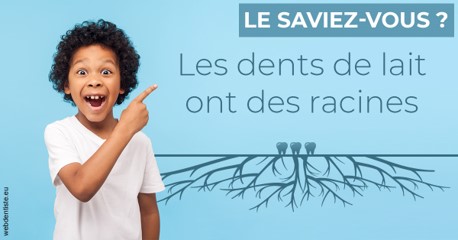 https://dr-arnaud-lecauchois.chirurgiens-dentistes.fr/Les dents de lait 2