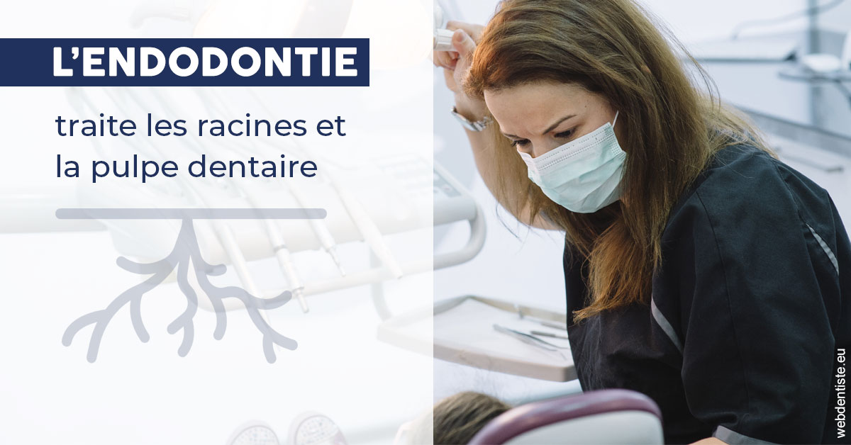 https://dr-arnaud-lecauchois.chirurgiens-dentistes.fr/L'endodontie 1