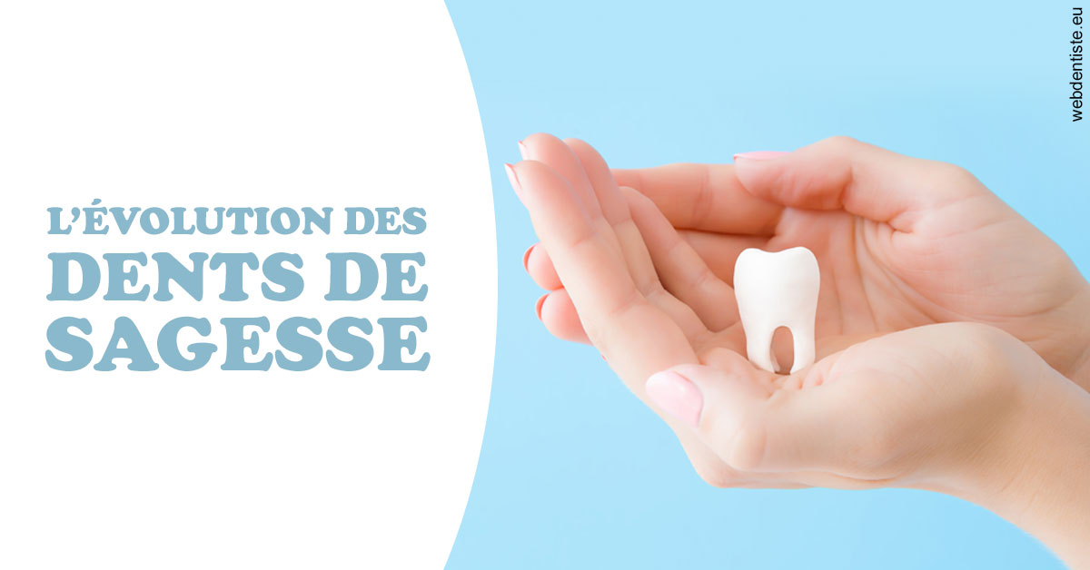 https://dr-arnaud-lecauchois.chirurgiens-dentistes.fr/Evolution dents de sagesse 1