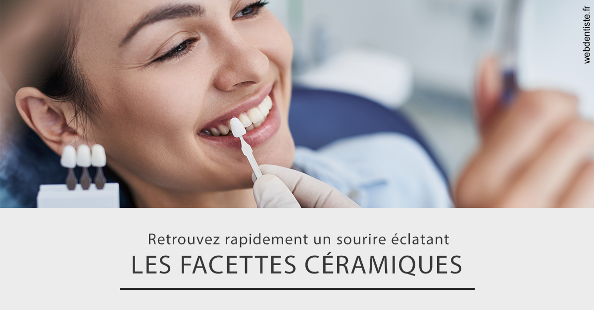 https://dr-arnaud-lecauchois.chirurgiens-dentistes.fr/Les facettes céramiques 2