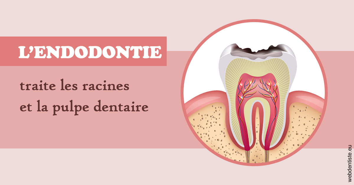 https://dr-arnaud-lecauchois.chirurgiens-dentistes.fr/L'endodontie 2
