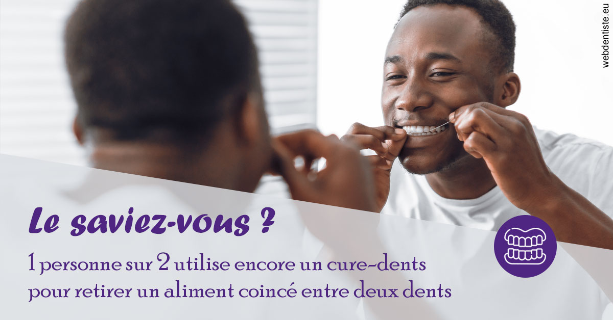 https://dr-arnaud-lecauchois.chirurgiens-dentistes.fr/Cure-dents 2