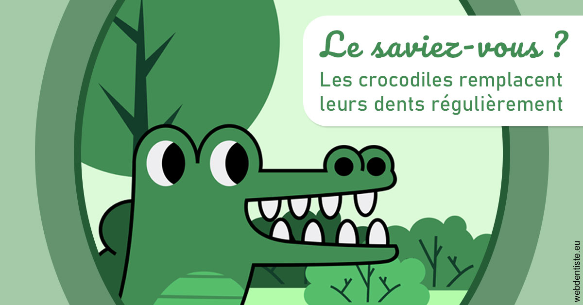 https://dr-arnaud-lecauchois.chirurgiens-dentistes.fr/Crocodiles 2