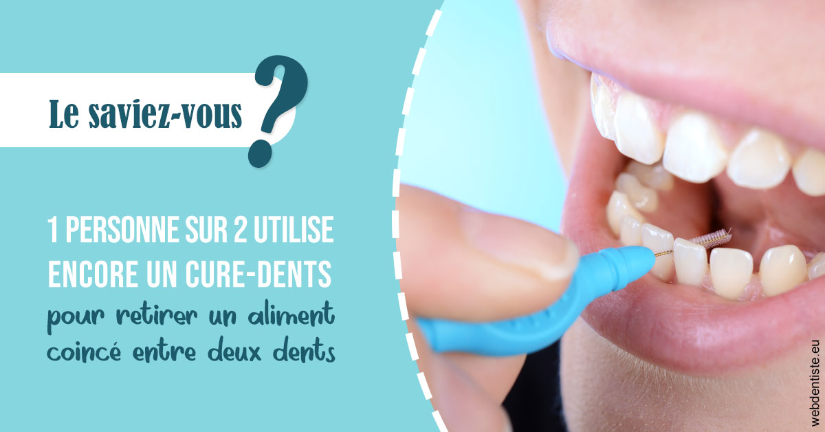 https://dr-arnaud-lecauchois.chirurgiens-dentistes.fr/Cure-dents 1