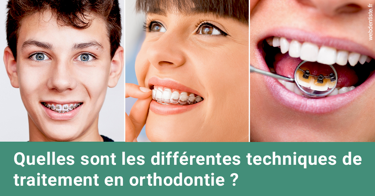 https://dr-arnaud-lecauchois.chirurgiens-dentistes.fr/Les différentes techniques de traitement 2