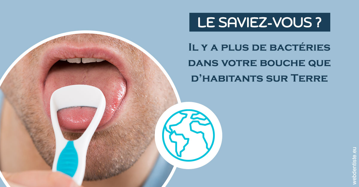 https://dr-arnaud-lecauchois.chirurgiens-dentistes.fr/Bactéries dans votre bouche 2