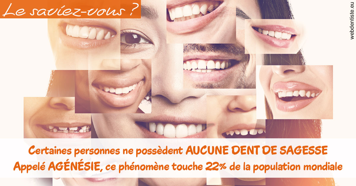https://dr-arnaud-lecauchois.chirurgiens-dentistes.fr/Agénésie 2