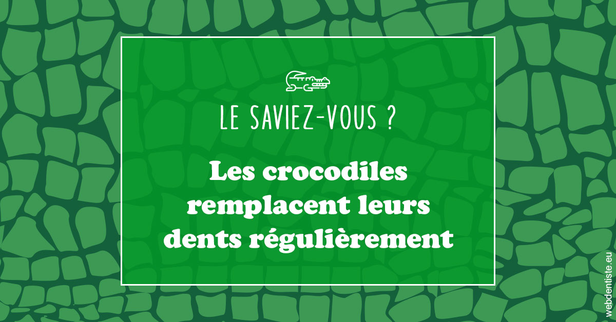 https://dr-arnaud-lecauchois.chirurgiens-dentistes.fr/Crocodiles 1